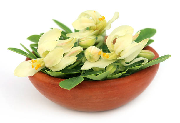 Comment utiliser les fleurs de Moringa ?
